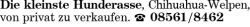 Vorschaubild der Anzeige, (Id: 1968082)