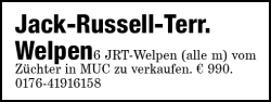 Vorschaubild der Anzeige, (Id: 1981533)