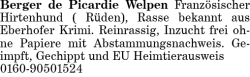Vorschaubild der Anzeige, (Id: 1984840)