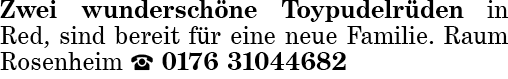 Vorschaubild der Anzeige, (Id: 1964780)